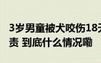 3岁男童被犬咬伤18天后不幸离世谁该对此负责 到底什么情况嘞