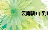 云南巍山 到底什么情况嘞