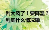 刮大风了！要降温？刚刚杭州多地发布预警 到底什么情况嘞
