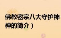 佛教密宗八大守护神（关于佛教密宗八大守护神的简介）