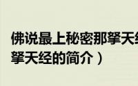 佛说最上秘密那拏天经（关于佛说最上秘密那拏天经的简介）