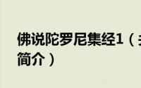 佛说陀罗尼集经1（关于佛说陀罗尼集经1的简介）