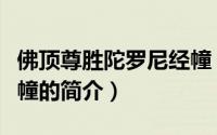 佛顶尊胜陀罗尼经幢（关于佛顶尊胜陀罗尼经幢的简介）