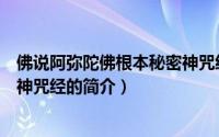 佛说阿弥陀佛根本秘密神咒经（关于佛说阿弥陀佛根本秘密神咒经的简介）