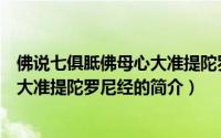 佛说七俱胝佛母心大准提陀罗尼经（关于佛说七俱胝佛母心大准提陀罗尼经的简介）