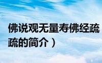 佛说观无量寿佛经疏（关于佛说观无量寿佛经疏的简介）