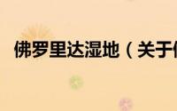佛罗里达湿地（关于佛罗里达湿地的简介）