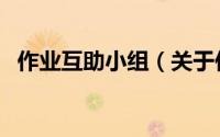 作业互助小组（关于作业互助小组的简介）
