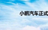 小鹏汽车正式进入法国市场