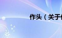 作头（关于作头的简介）