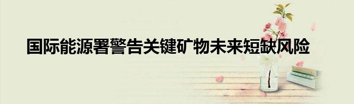 国际能源署警告关键矿物未来短缺风险
