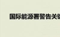 国际能源署警告关键矿物未来短缺风险