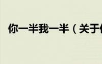 你一半我一半（关于你一半我一半的简介）