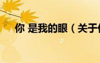 你 是我的眼（关于你 是我的眼的简介）