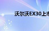 沃尔沃EX30上市售价20.08万起