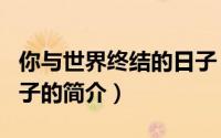 你与世界终结的日子（关于你与世界终结的日子的简介）