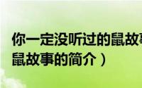 你一定没听过的鼠故事（关于你一定没听过的鼠故事的简介）