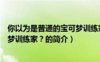 你以为是普通的宝可梦训练家？（关于你以为是普通的宝可梦训练家？的简介）