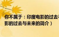 你不属于：印度电影的过去与未来（关于你不属于：印度电影的过去与未来的简介）