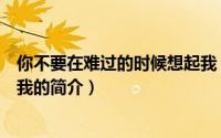 你不要在难过的时候想起我（关于你不要在难过的时候想起我的简介）