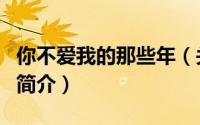 你不爱我的那些年（关于你不爱我的那些年的简介）