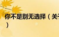 你不是别无选择（关于你不是别无选择的简介）