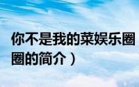 你不是我的菜娱乐圈（关于你不是我的菜娱乐圈的简介）