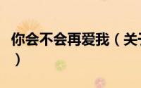 你会不会再爱我（关于你会不会再爱我的简介）