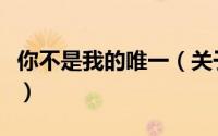 你不是我的唯一（关于你不是我的唯一的简介）
