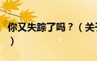 你又失踪了吗？（关于你又失踪了吗？的简介）