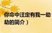 你命中注定有我一劫（关于你命中注定有我一劫的简介）