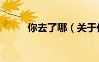 你去了哪（关于你去了哪的简介）