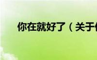 你在就好了（关于你在就好了的简介）