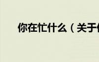 你在忙什么（关于你在忙什么的简介）