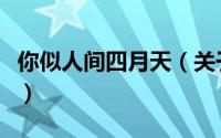 你似人间四月天（关于你似人间四月天的简介）