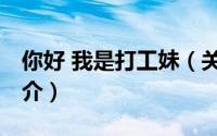 你好 我是打工妹（关于你好 我是打工妹的简介）