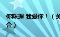 你咪理 我爱你！（关于你咪理 我爱你！的简介）