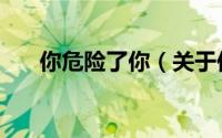 你危险了你（关于你危险了你的简介）