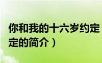 你和我的十六岁约定（关于你和我的十六岁约定的简介）