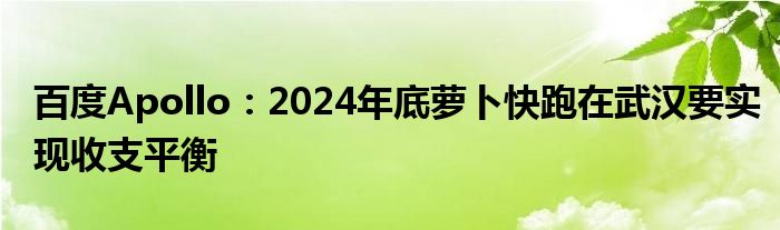 百度Apollo：2024年底萝卜快跑在武汉要实现收支平衡