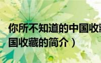 你所不知道的中国收藏（关于你所不知道的中国收藏的简介）