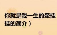 你就是我一生的牵挂（关于你就是我一生的牵挂的简介）