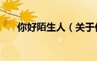 你好陌生人（关于你好陌生人的简介）