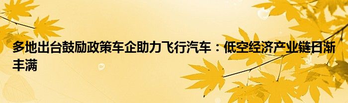 多地出台鼓励政策车企助力飞行汽车：低空经济产业链日渐丰满