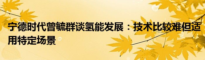 宁德时代曾毓群谈氢能发展：技术比较难但适用特定场景