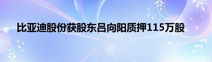 比亚迪股份获股东吕向阳质押115万股