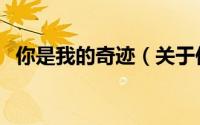 你是我的奇迹（关于你是我的奇迹的简介）