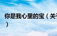 你是我心里的宝（关于你是我心里的宝的简介）