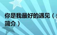 你是我最好的遇见（关于你是我最好的遇见的简介）