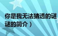 你是我无法猜透的谜（关于你是我无法猜透的谜的简介）